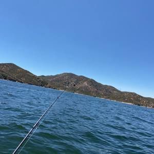 Meet your Posher, Davide